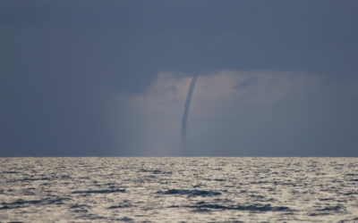 Dodging Dangerous Summer Storms