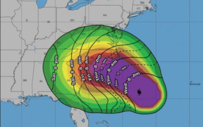 Flo’s Hit and Flo’s Miss