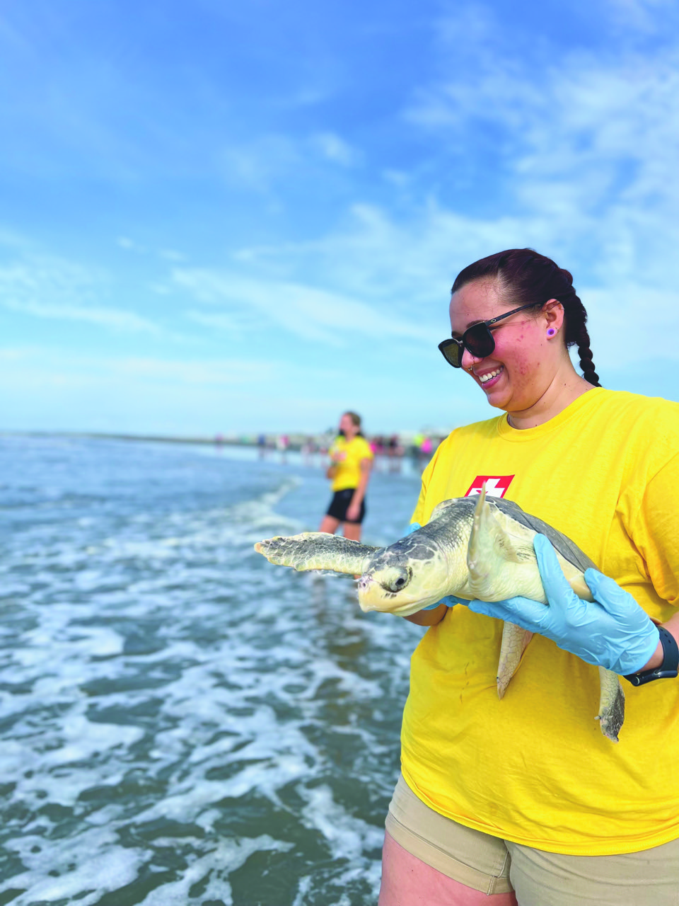 Six rehabilitated sea turtles released at Folly Beach County Park