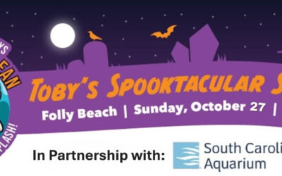 Spooktacular Beach Sweep Set for October 27th!